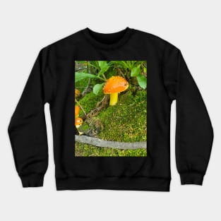 Amanita Village Crewneck Sweatshirt